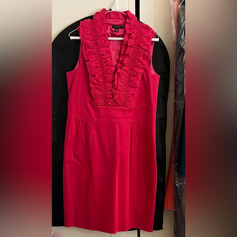 Ted Baker Vibrant Pink Garment - size 5